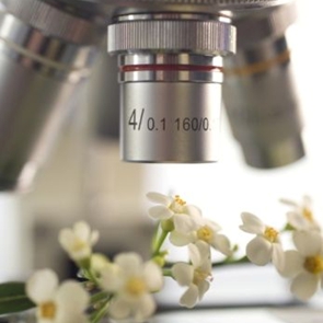 image de l'entreprise