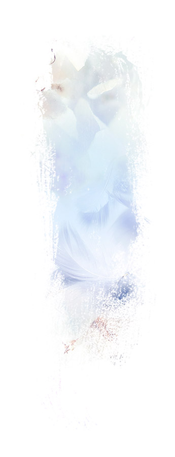 image de la famille / facette