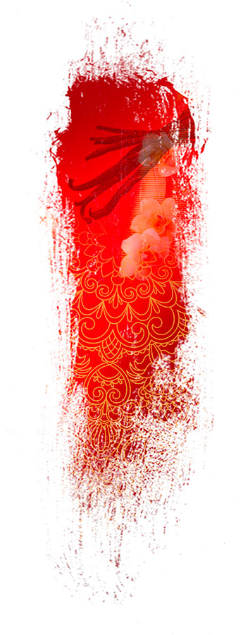 image de la famille / facette