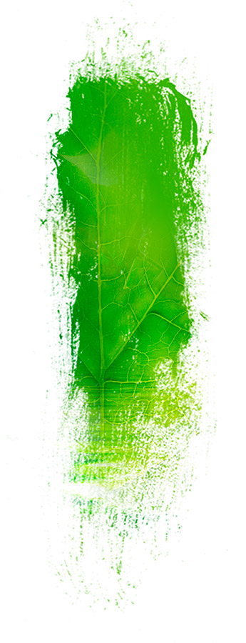 image de la famille / facette