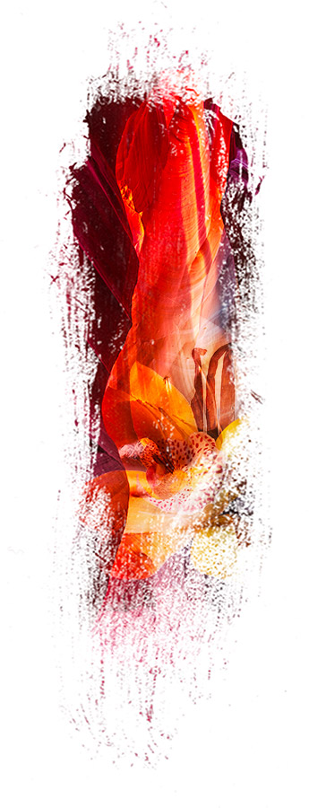 image de la famille / facette