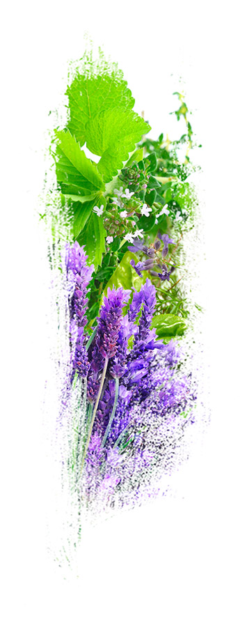 image de la famille / facette