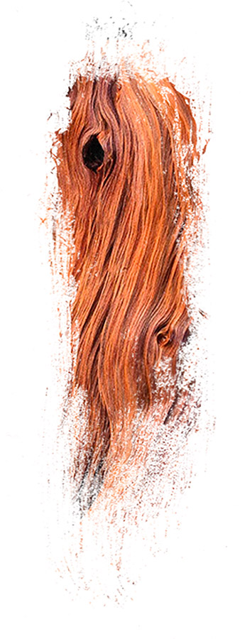 image de la famille / facette