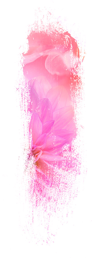 image de la famille / facette