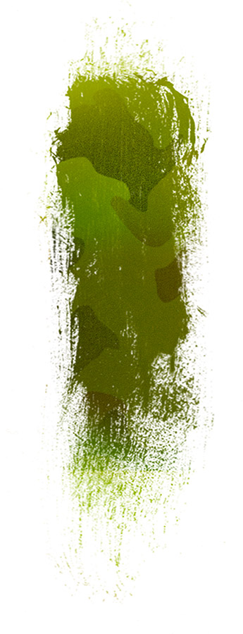 image de la famille / facette