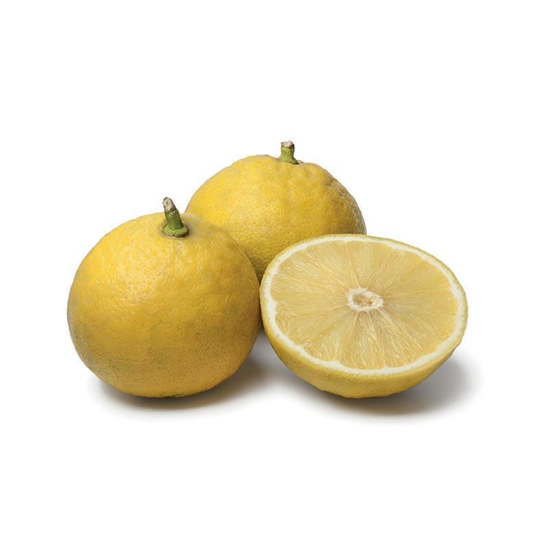 Bergamote