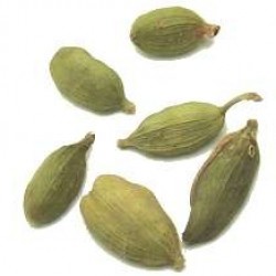 Cardamome