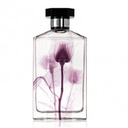 image du parfum