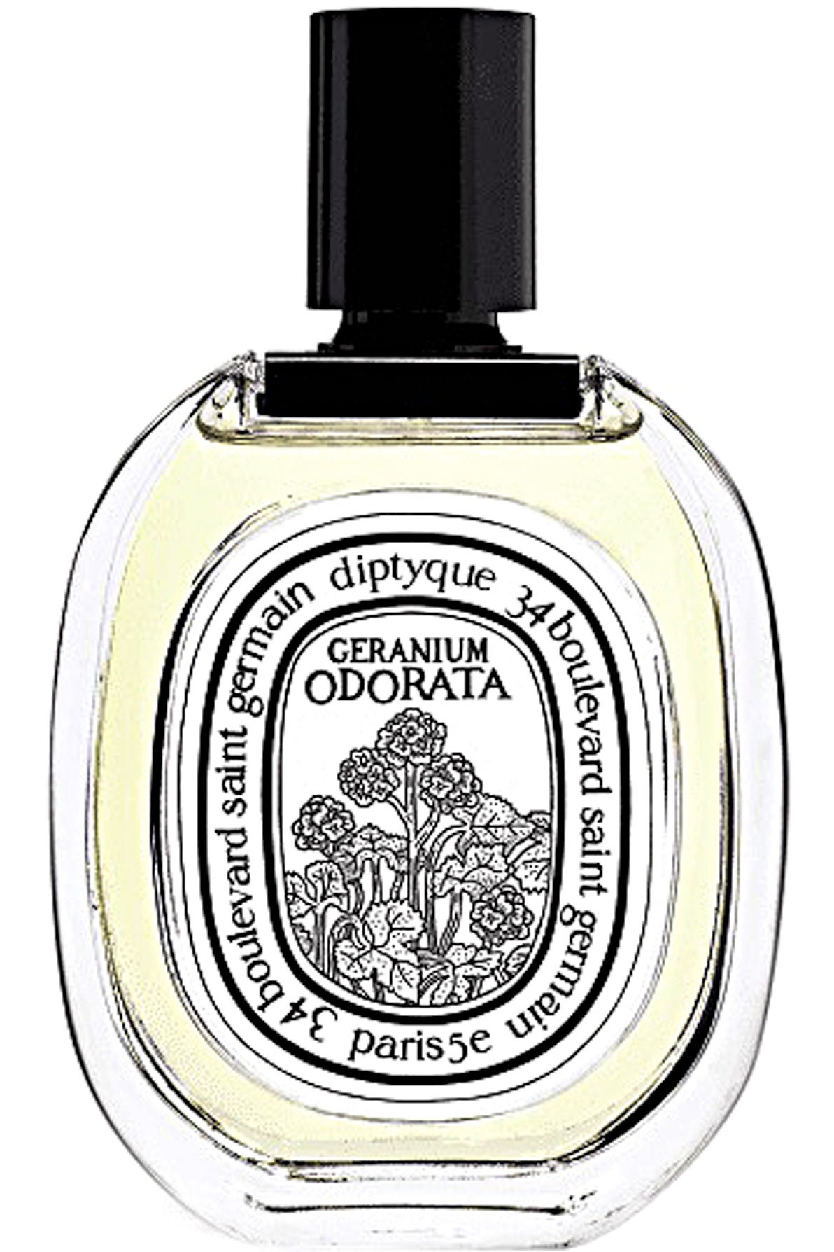 image du parfum